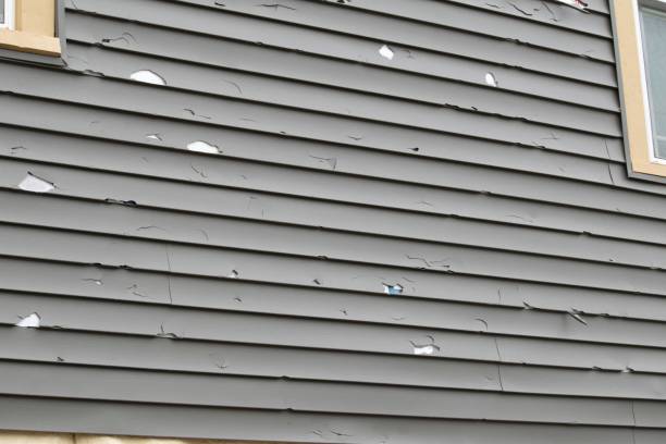 Best Custom Siding Design  in Lake Sherwood, CA