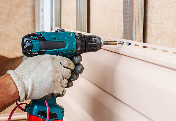 Best Custom Siding Design  in Lake Sherwood, CA